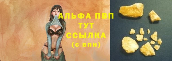 твердый Няндома
