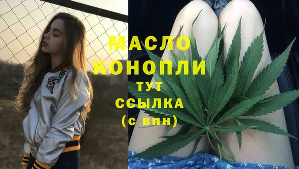 твердый Няндома